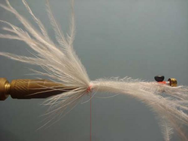 White Intruder Tube Fly