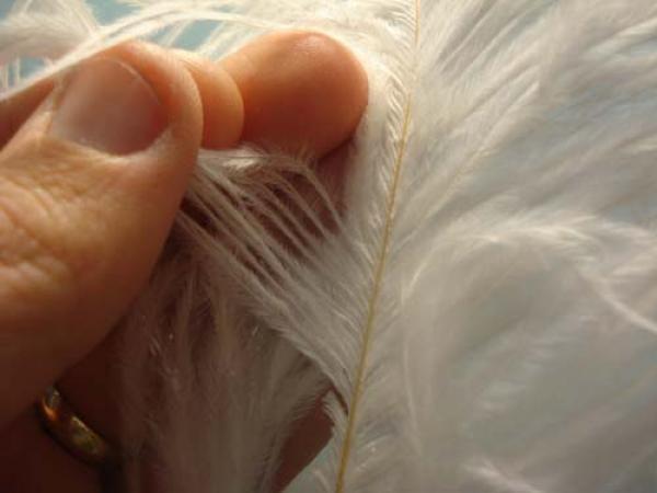 White Intruder Tube Fly