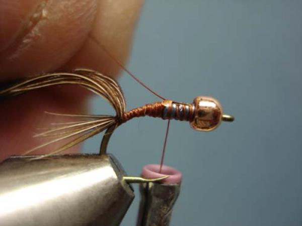 Bead Head Pheasant Tail Nymph