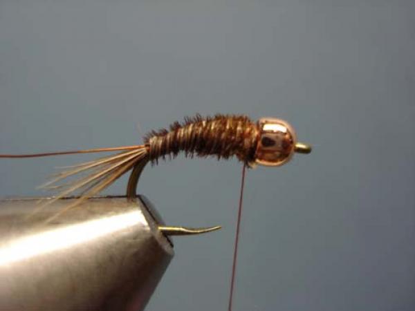 Bead Head Pheasant Tail Nymph