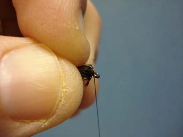 Pheasant Tail Cruncher