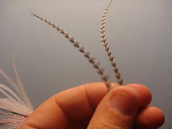 White Intruder Tube Fly