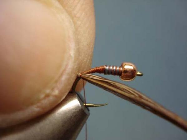 Bead Head Pheasant Tail Nymph