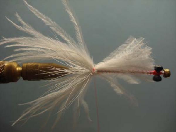 White Intruder Tube Fly