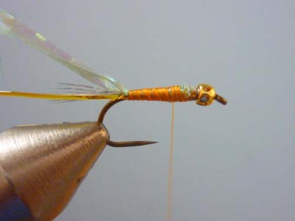 LW's Orange BB