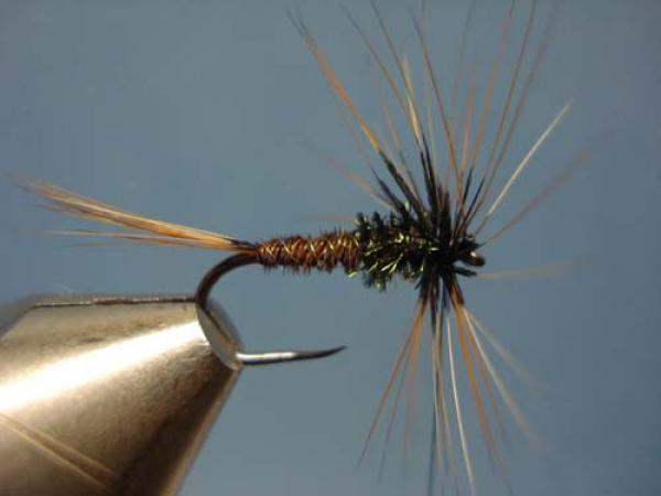 Pheasant Tail Cruncher