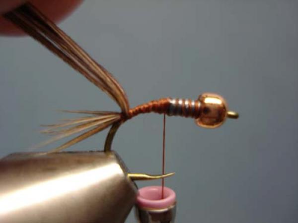 Bead Head Pheasant Tail Nymph