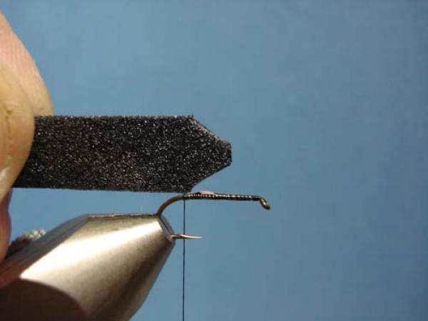Foam Beetle