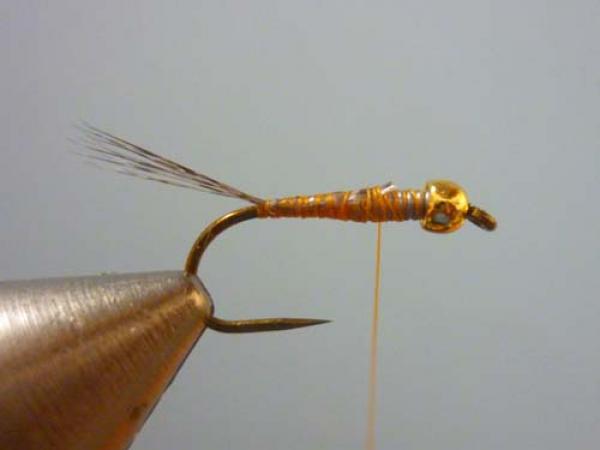 LW's Orange BB