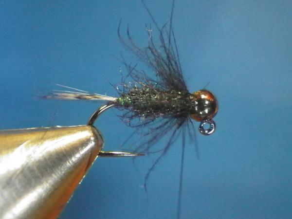 LW's Itchy