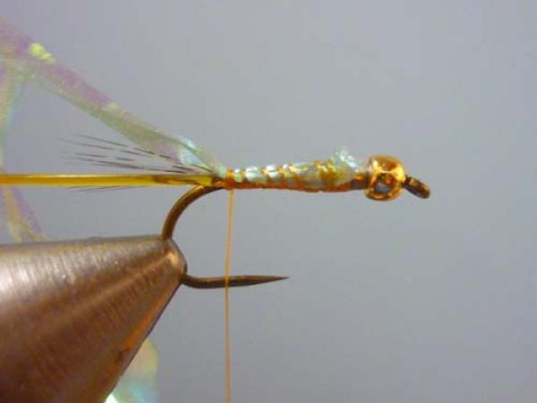 LW's Orange BB