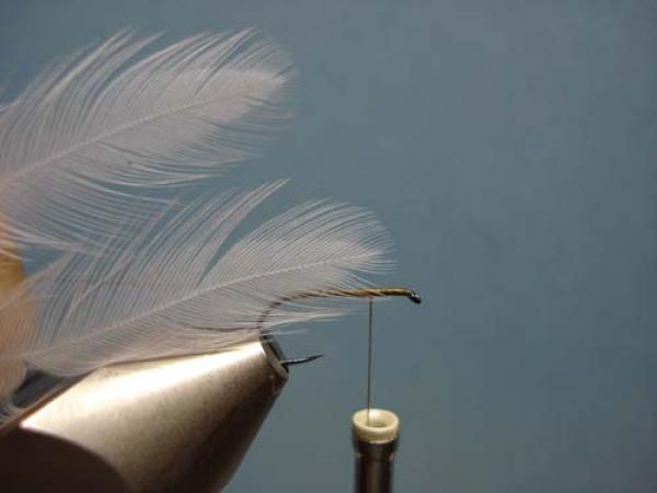 Hen Wing Sulphur Spinner