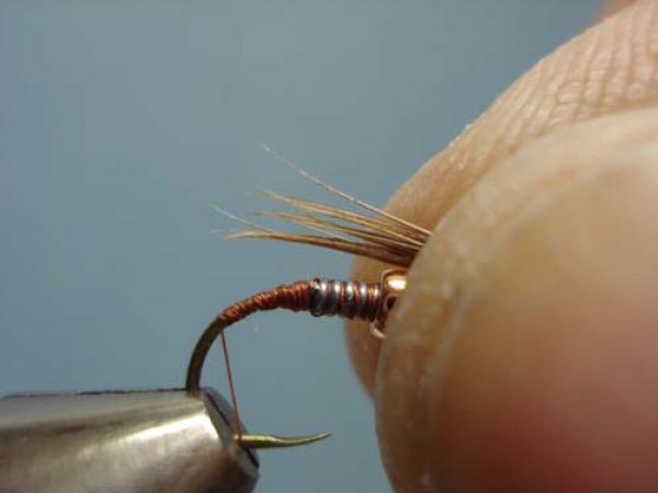 Bead Head Pheasant Tail Nymph