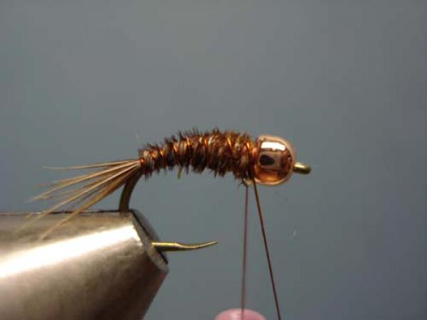Bead Head Pheasant Tail Nymph