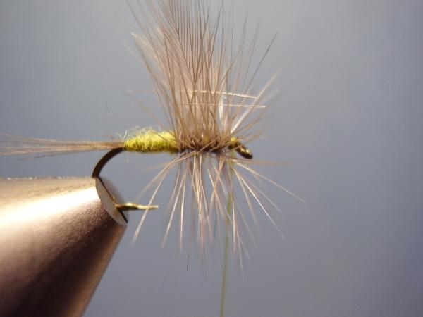Blue-Winged Olive Catskill