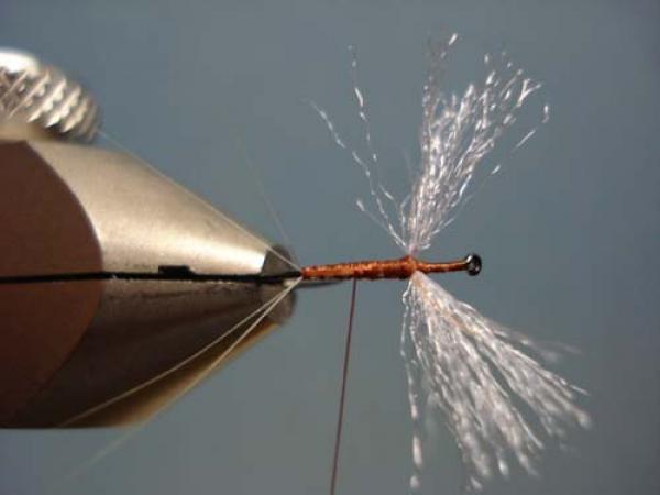 Poly Wing Rusty Spinner
