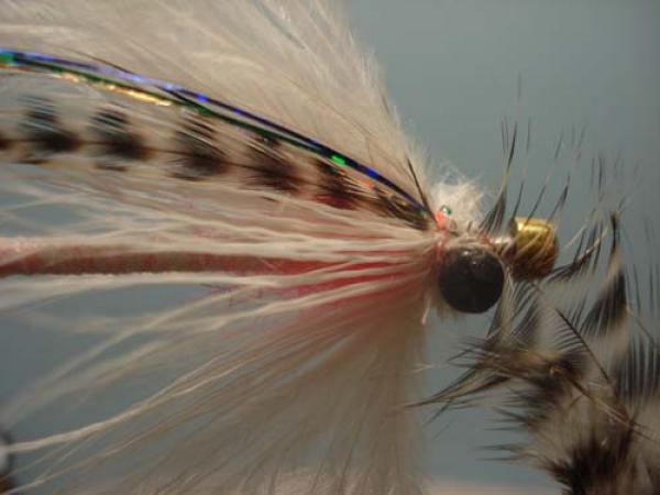 White Intruder Tube Fly