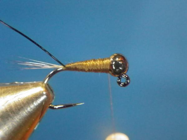 LW's Intestinal Bug