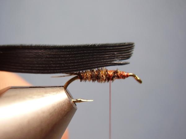 LW's Dark Quill Sulphur