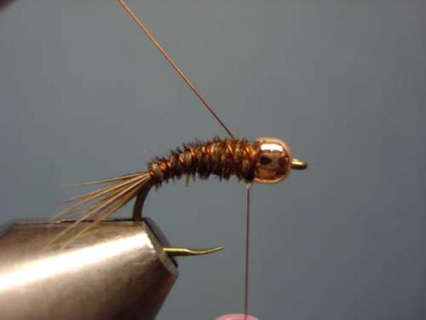 Bead Head Pheasant Tail Nymph