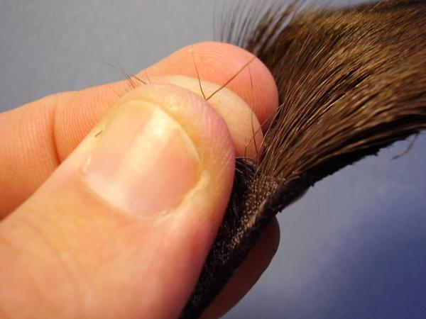 Grannom Elk Hair Caddis