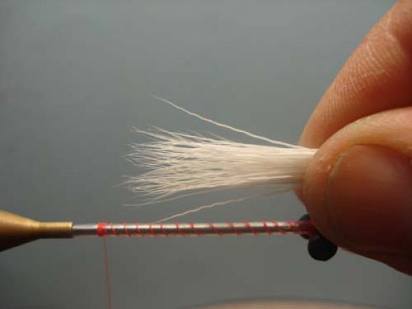 White Intruder Tube Fly