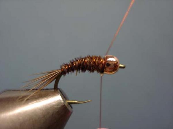 Bead Head Pheasant Tail Nymph