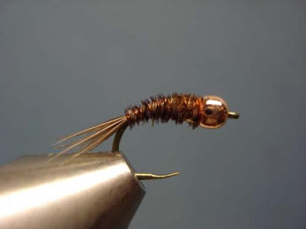 Bead Head Pheasant Tail Nymph