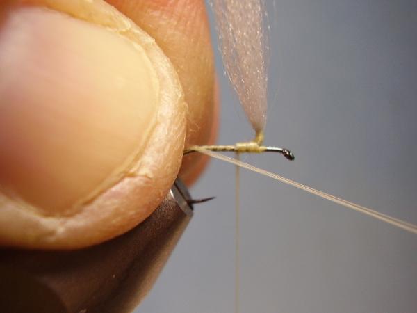 Sulphur Parachute