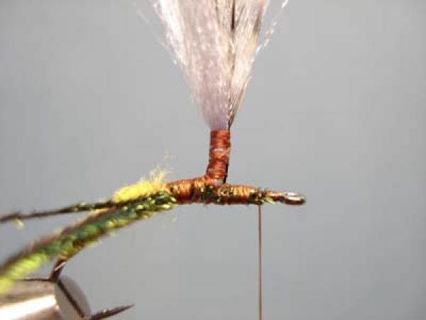 Olive Klinkhamer Special
