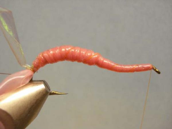 Vladi Worm