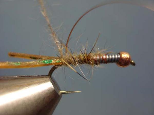 LW's Hoover