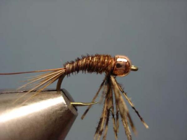 Bead Head Pheasant Tail Nymph