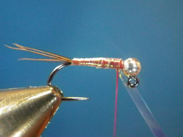 Egan's Pearl Rainbow Warrior