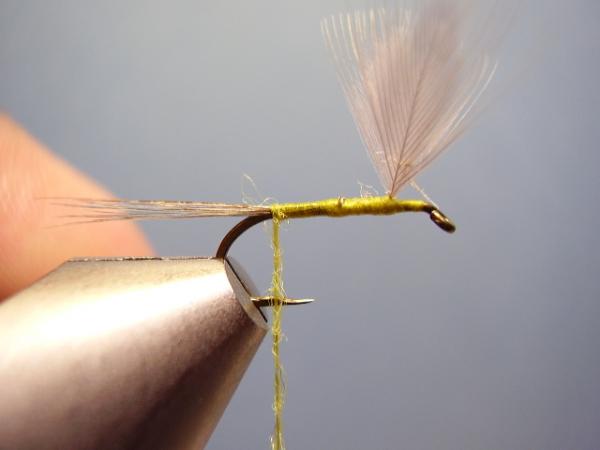 Blue-Winged Olive Catskill
