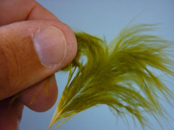 Olive Rat Bastard