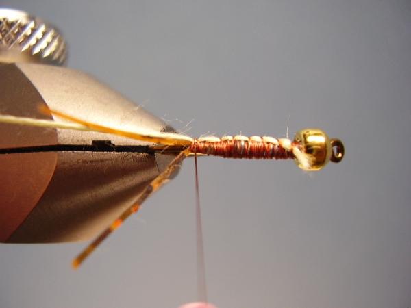 LW's Light Frontliner