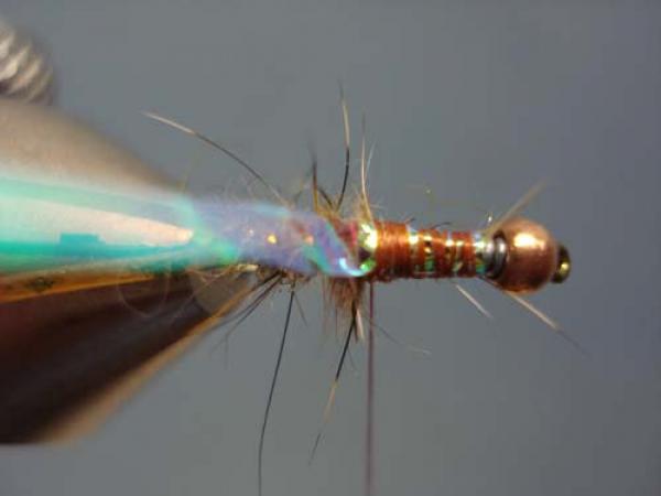 LW's Hoover