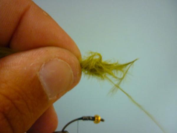 Olive Rat Bastard
