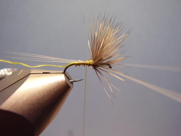 Blue-Winged Olive Comparadun