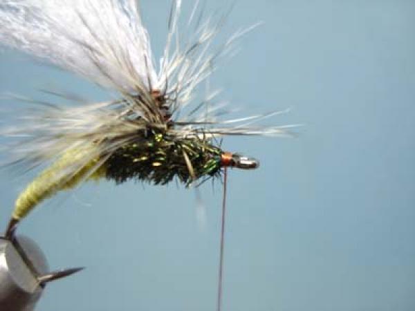 Olive Klinkhamer Special