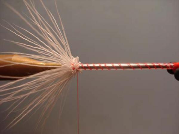 White Intruder Tube Fly