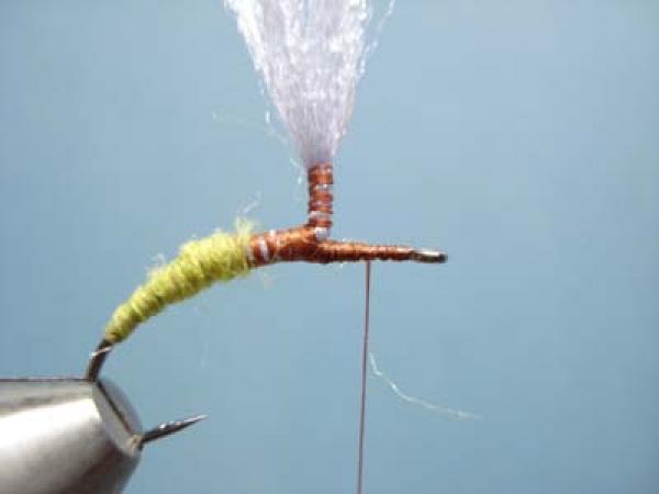 Olive Klinkhamer Special