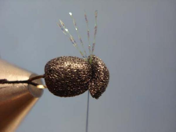 Foam Beetle