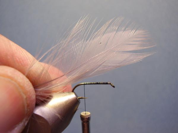 Quill Gordon