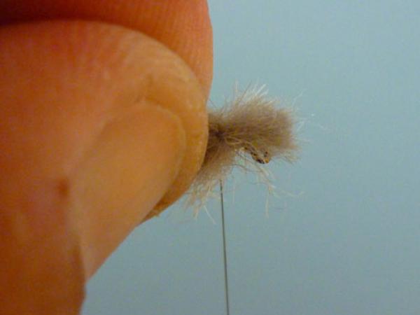 LW's Q-Tip