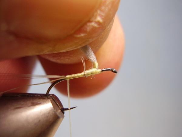 Sulphur Parachute