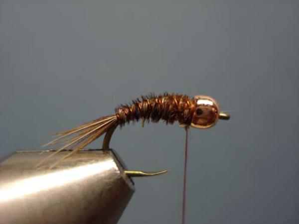 Bead Head Pheasant Tail Nymph