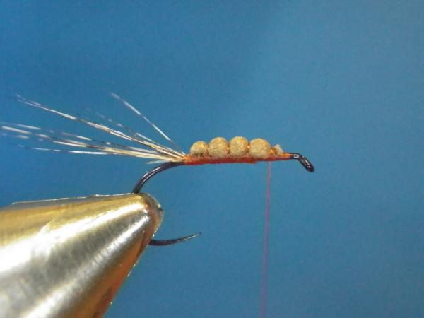 LW's Isonychia F-Plus